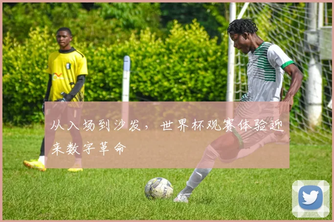 从入场到沙发，世界杯观赛体验迎来数字革命